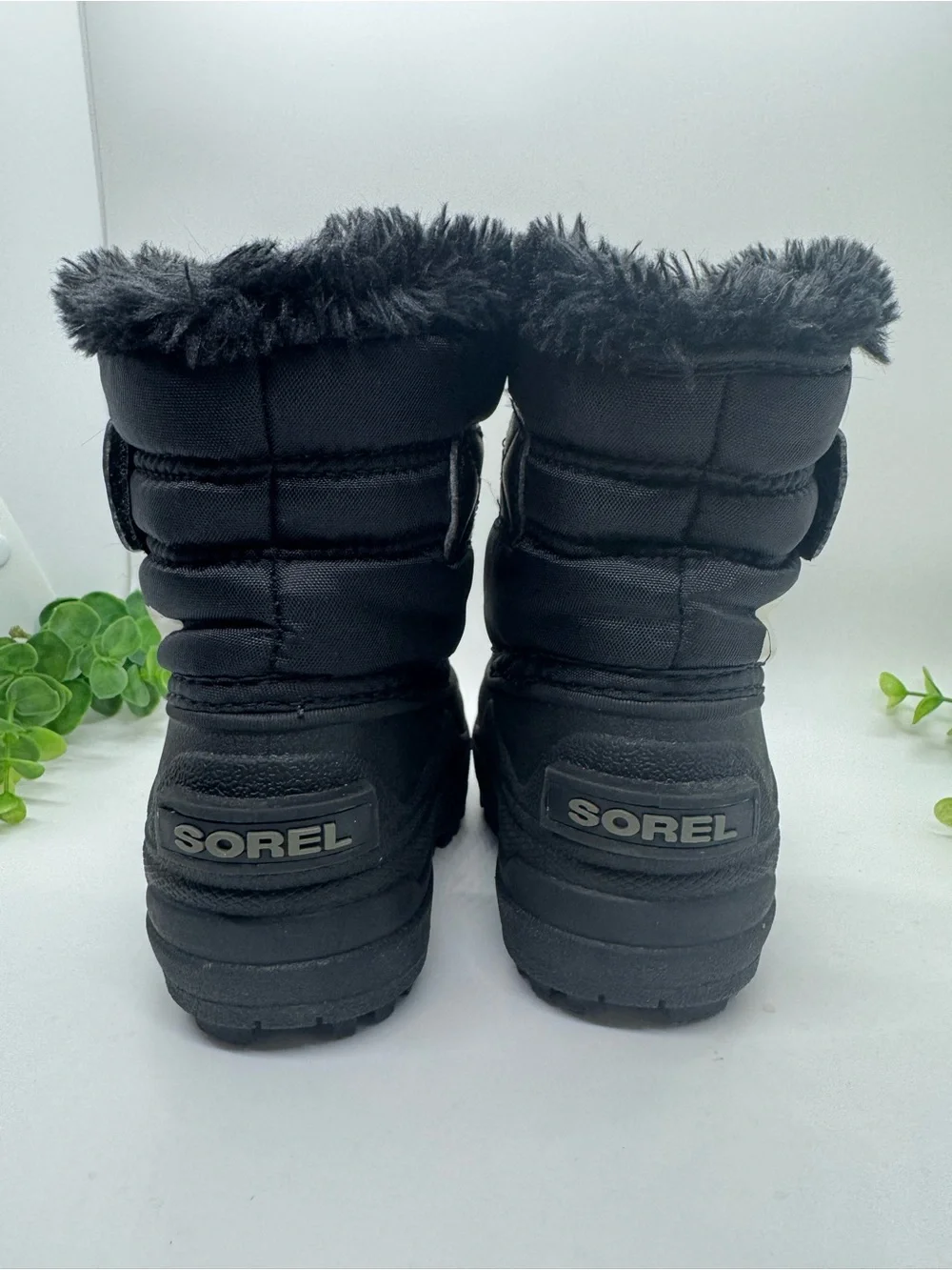 Sorel questions leave